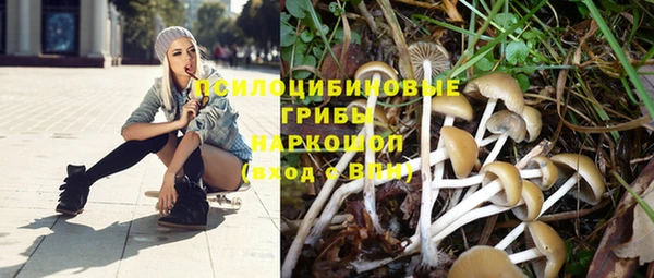 меф Майский