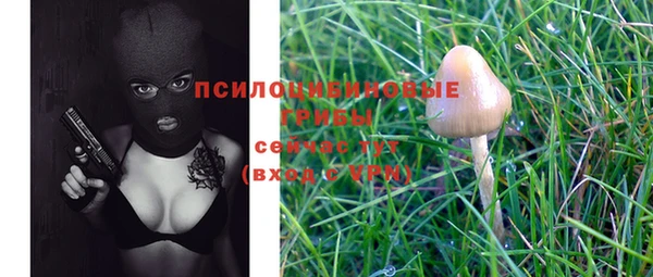 альфа пвп Магас