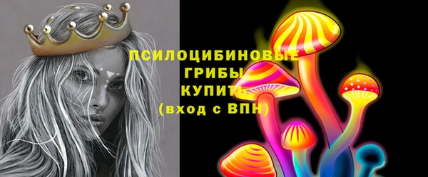 PSILOCYBIN Магадан