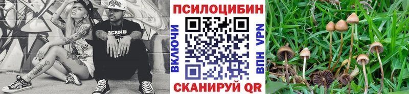 Псилоцибиновые грибы Cubensis  наркошоп  Партизанск 